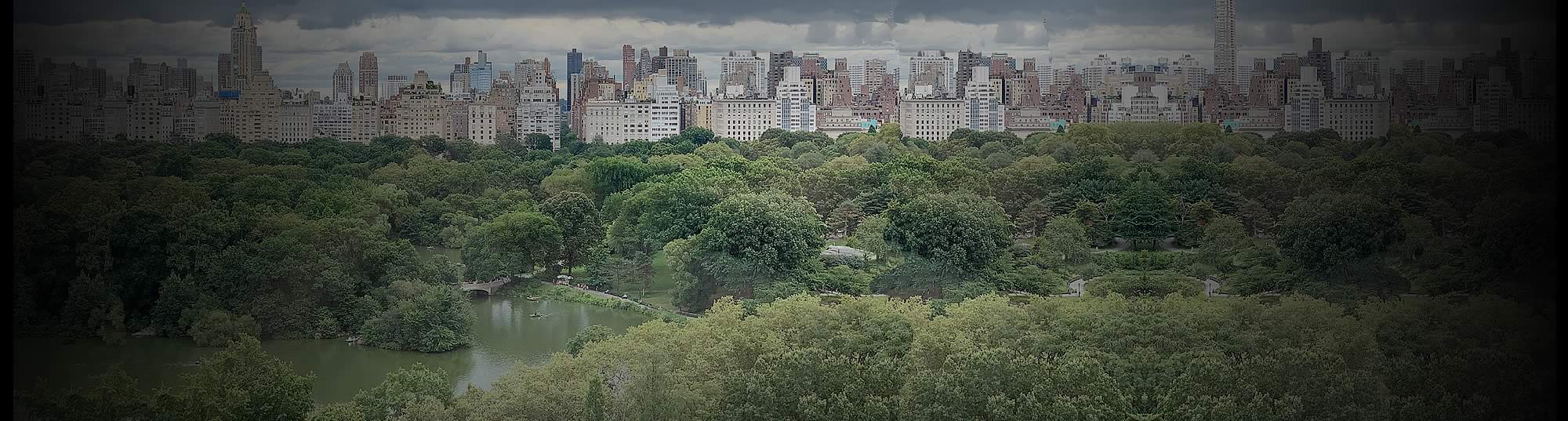Central Park View - All Clean FiberShield
